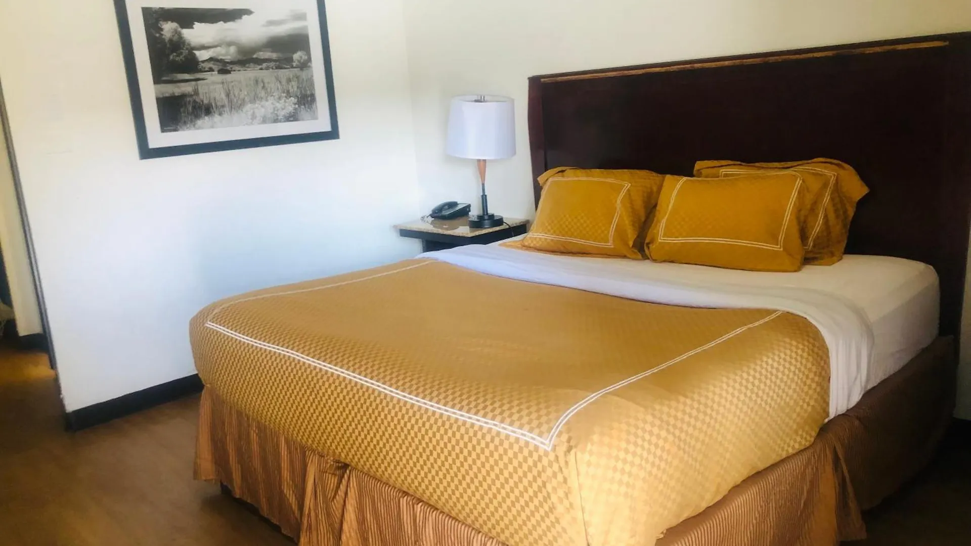 Budget Inn Denver Downtown