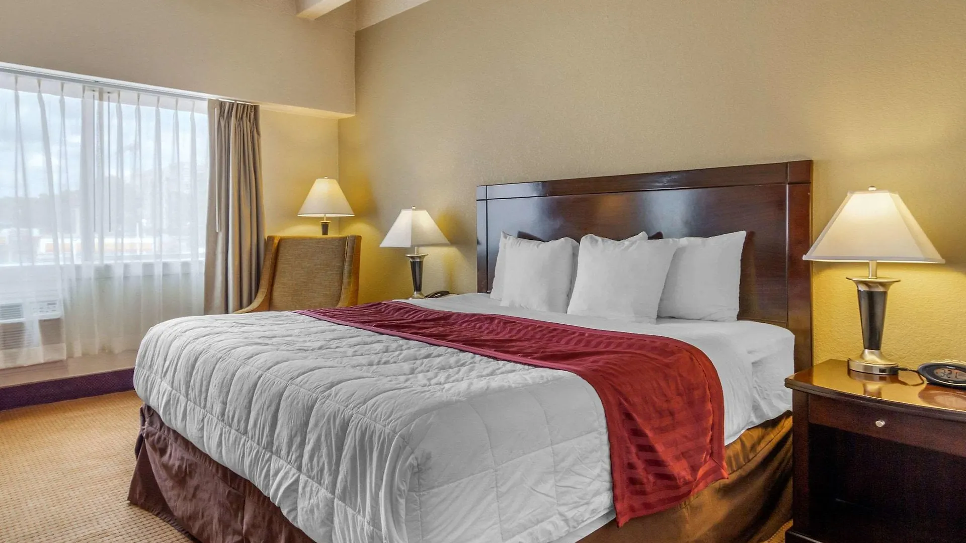 Hotel Budget Inn Denver Downtown